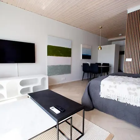 Olavinlinna Design - Renovated, Ac, Wifi Lejlighed Savonlinna